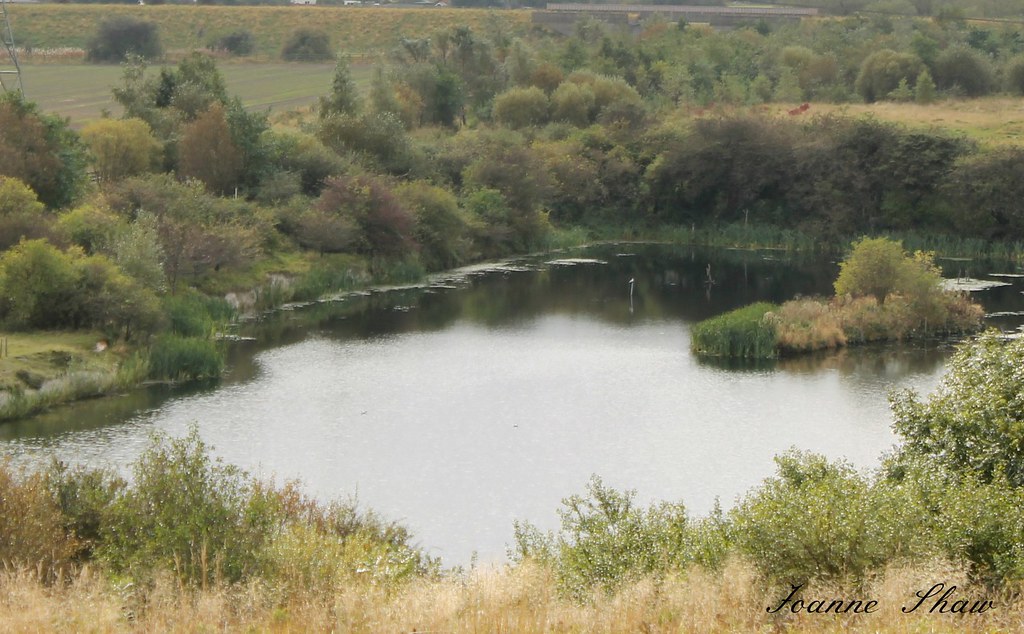 IMG_4045 Lake EN Cowpen Bewley Woodland Park is a 100hect… Flickr