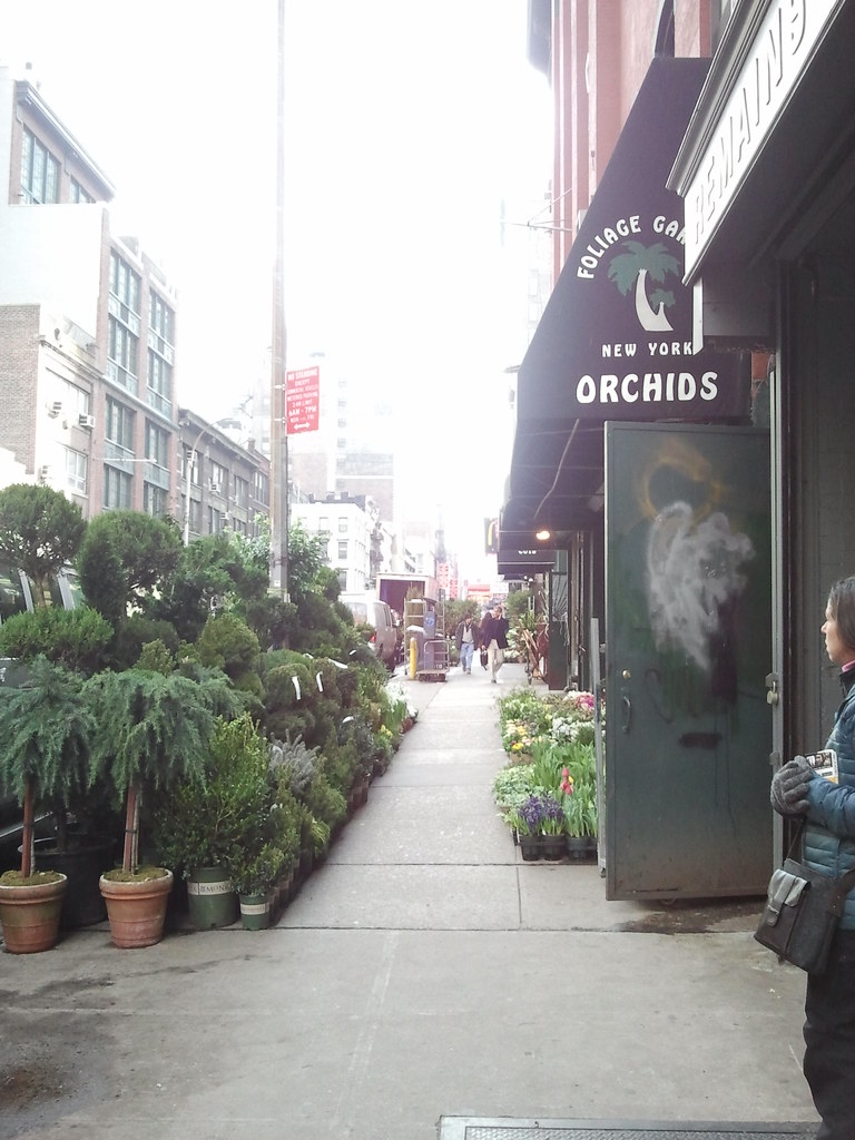 Flower District NYC enero 2013 Eloisa Ozonas Flickr