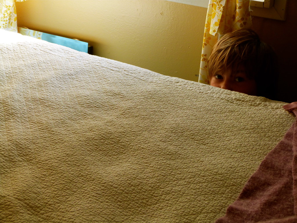 Phee Gets A New Bed kelly Flickr