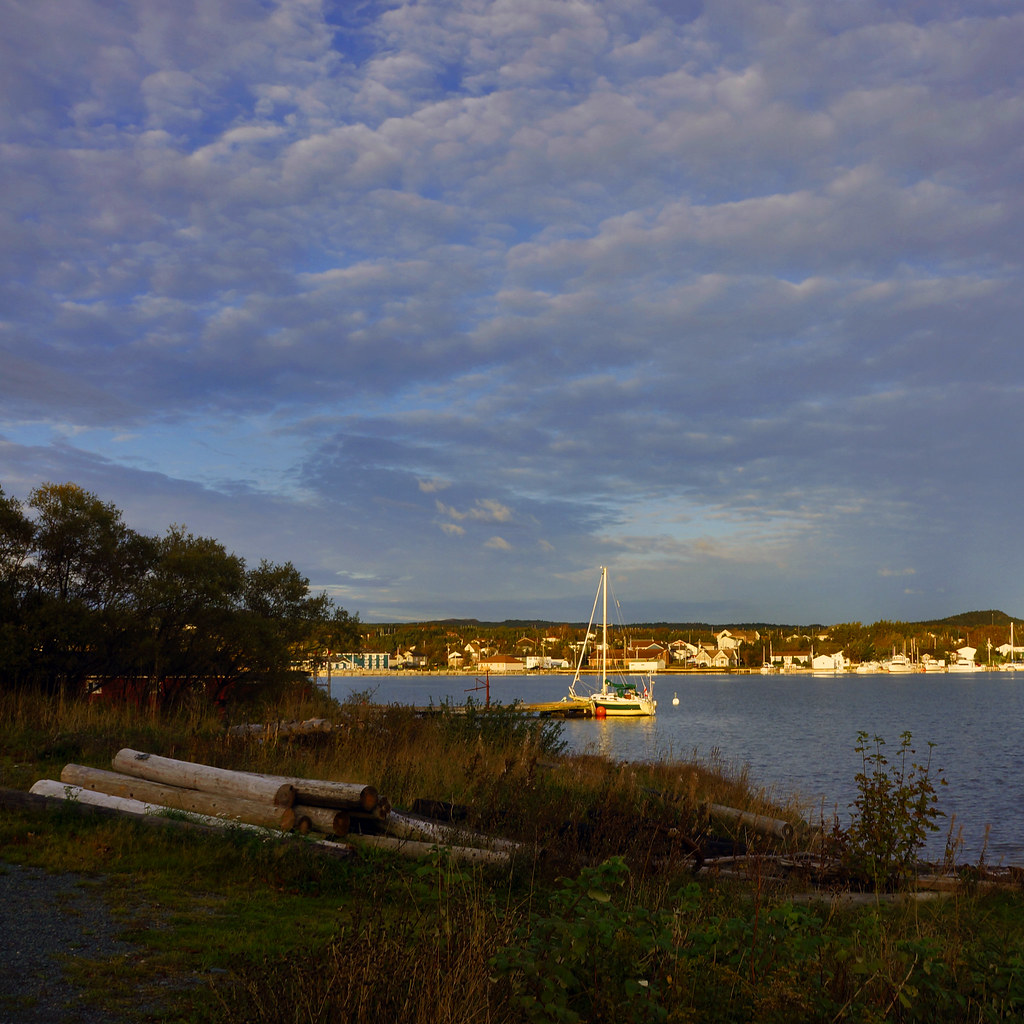 Bay Roberts Harbour at Sunrise. Taken from Coley's Point. … Flickr