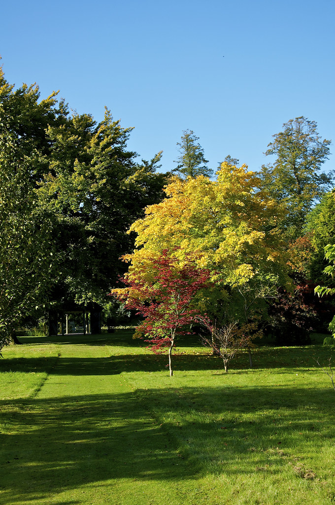 Chippenham Park Gardens Chippenham Park Gardens 14102012… Flickr