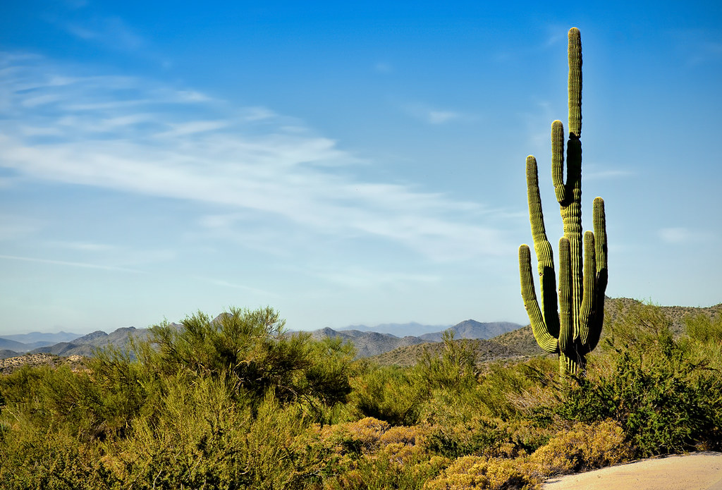 Scottsdale, Arizona Iconic Arizona. Scottsdale, AZ Dennis Larson