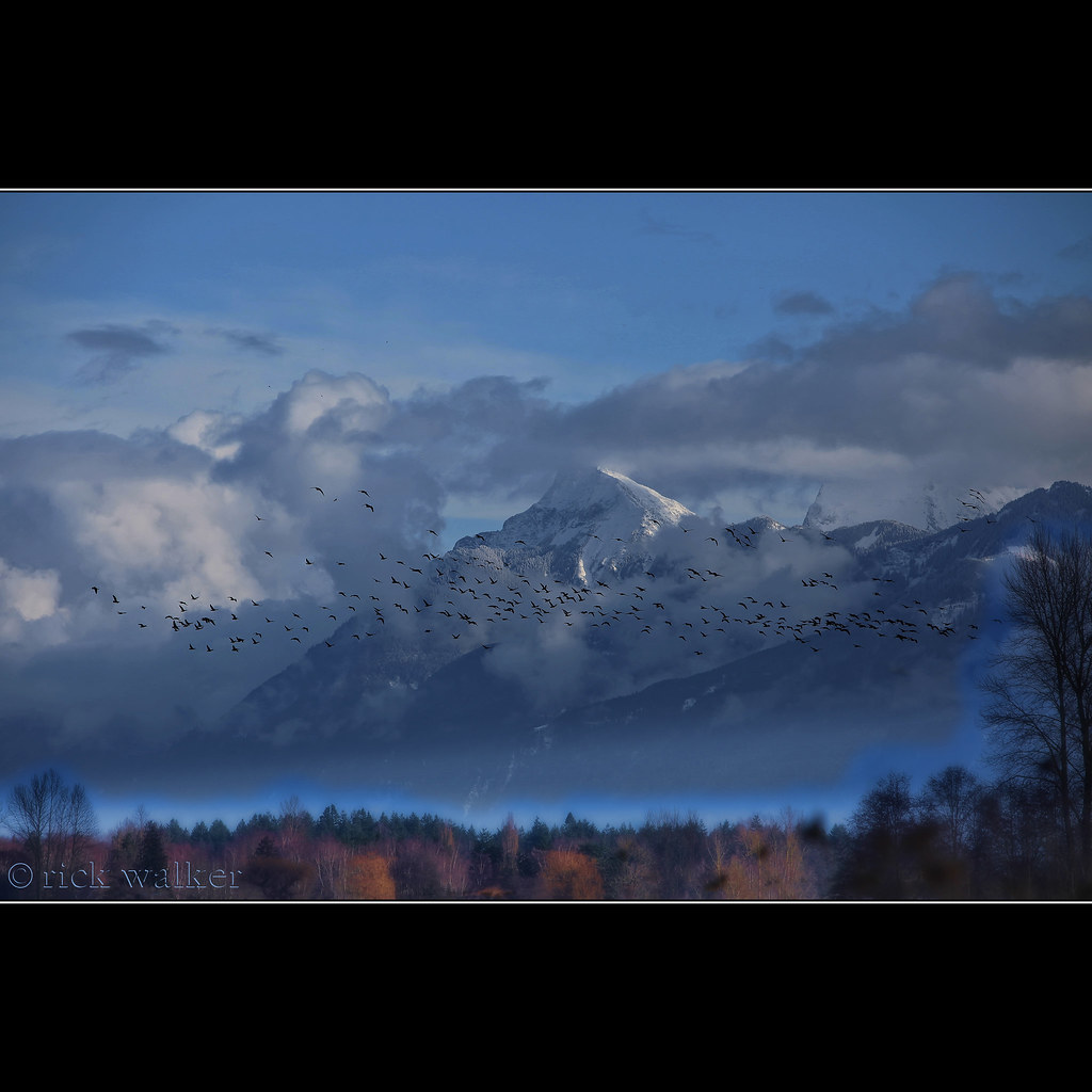 Elevation of 4 Vedder Mountain Rd, Chilliwack, BC V2R 4C3, Canada Topographic Map Altitude Map
