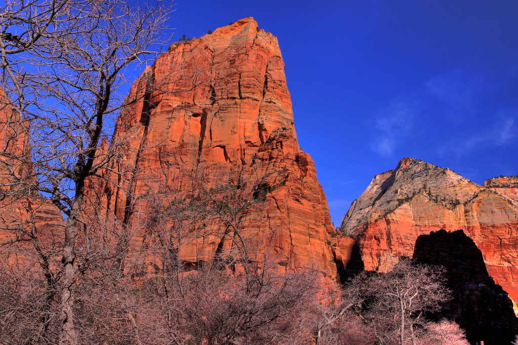 (2012L23) Zion National Park, Springdale, UT goldenpower1 Flickr