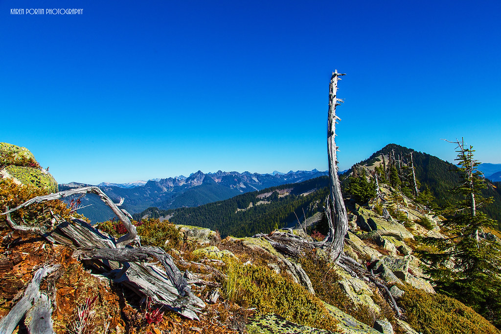 Elevation of WA, Snoqualmie Pass, WA, USA Topographic Map Altitude Map