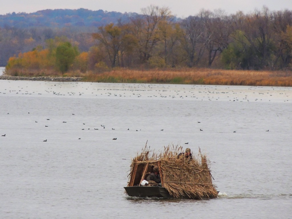Waterfowl FlimFlam Upper Mississippi River National Wildl… Flickr