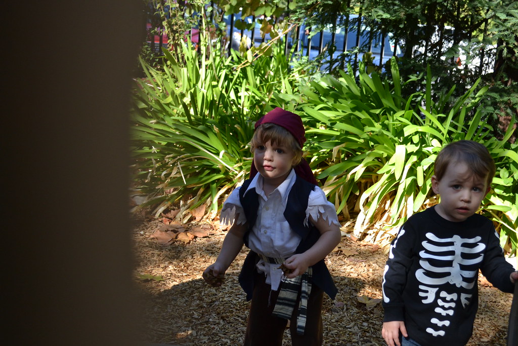 201210 Zanders 2nd Birthday 084 tracyrz Flickr