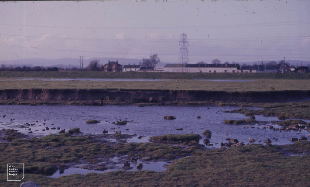 Caldicot Pill. 2 levels of salt marsh sloping back like co… Flickr