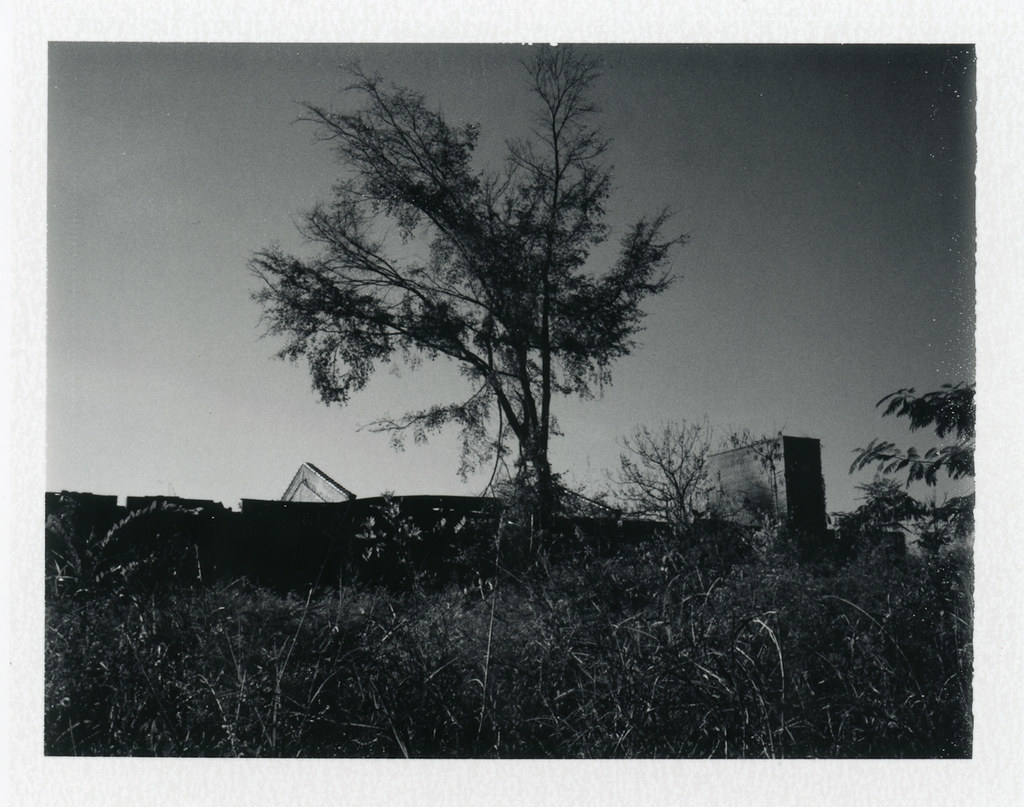 Pelzer Mill 4 Pelzer, SC Some of what remains of Pelzer… Flickr