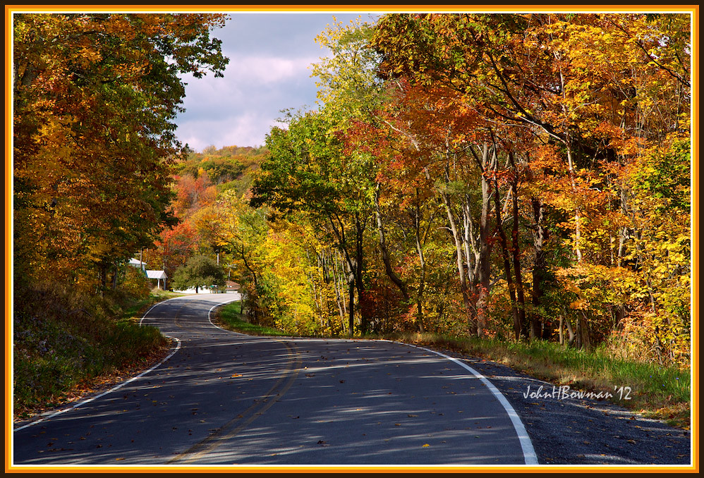 Elevation of Arbovale, WV, USA Topographic Map Altitude Map