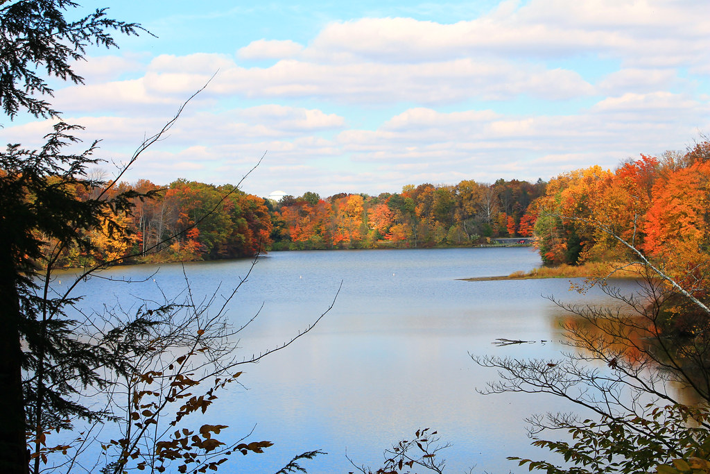 Lake Newport Autumn I Lake Newport, the largest of Mill … Flickr