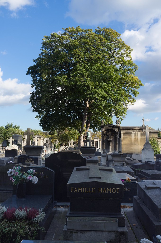 L'arbre du cimetière 3 bruno Flickr