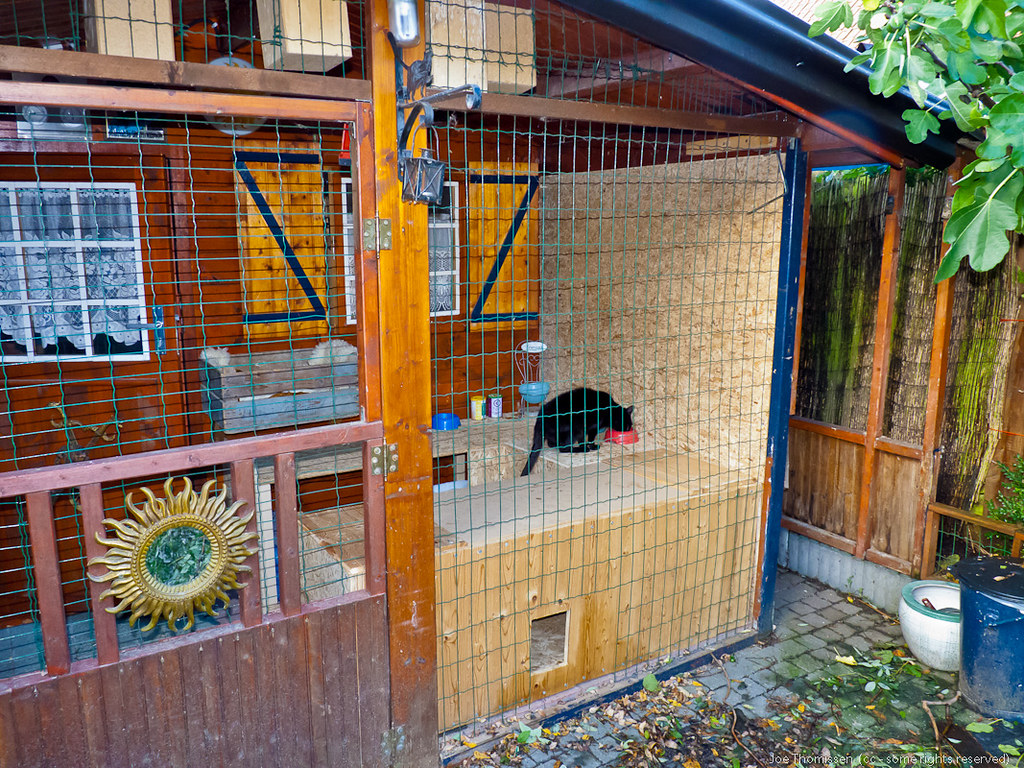 The Begin Fase Homemade Shelter for Stray Cats (photo1) Joe