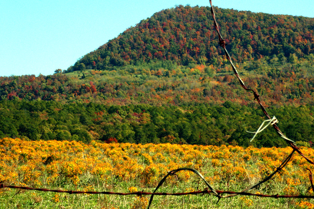 Mount Judea Fall colors taken at Mt. Judea (pronounced Jud… Flickr