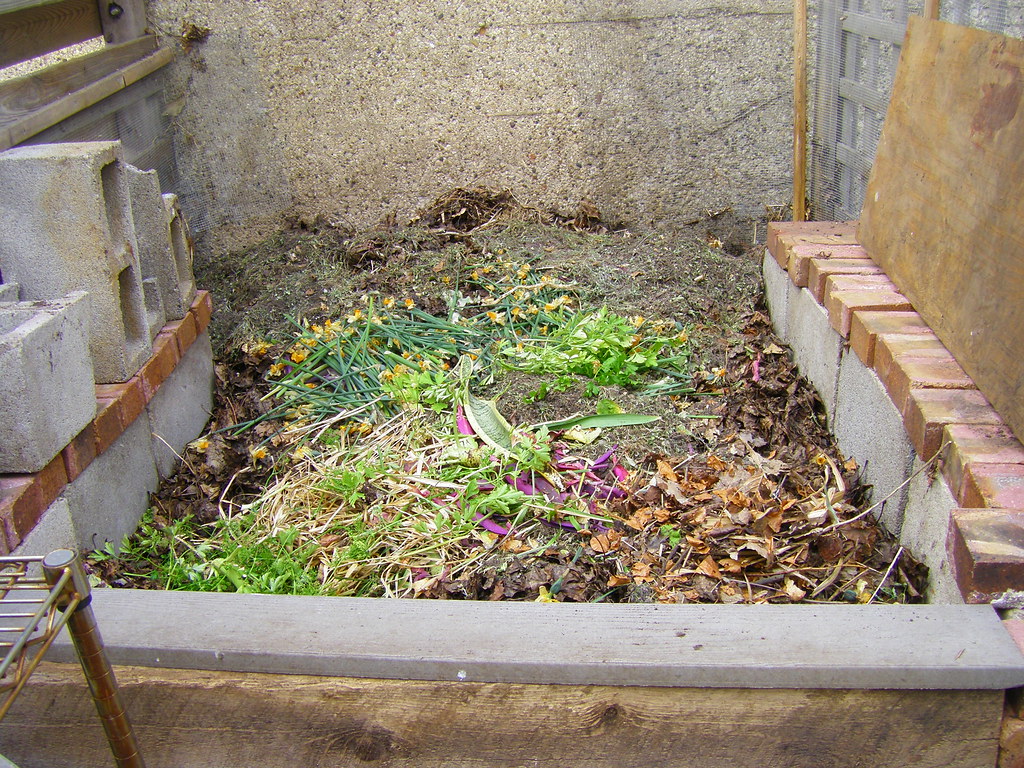 IMGP3563 Yard waste compost bin urbanedible Flickr