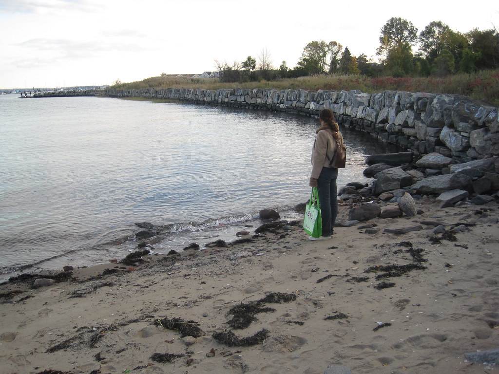 Huntington Woods beach Bronx 4314 This small beach was onc… Flickr