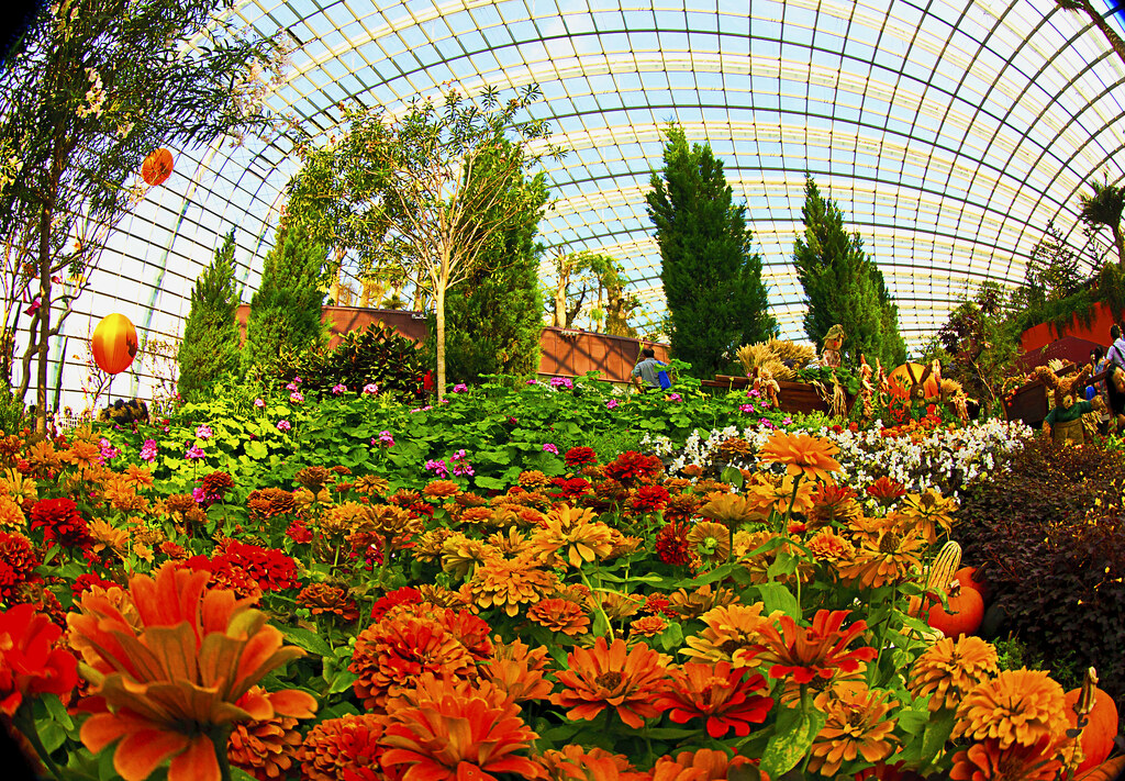Flower Dome at Gardens By The Bay Singapore The CoolDry… Flickr