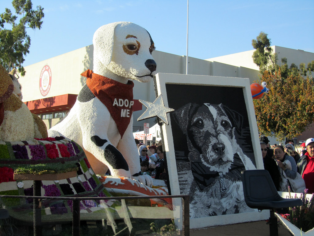 058 Beverly Hills Pet Care Foundation float 2013 Tournam… Flickr