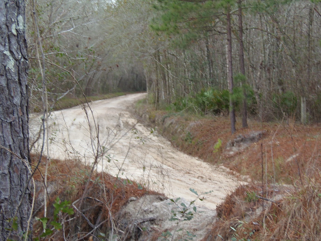 Back up the road Alapaha River at Hotchkiss Landing, Naylo… Flickr