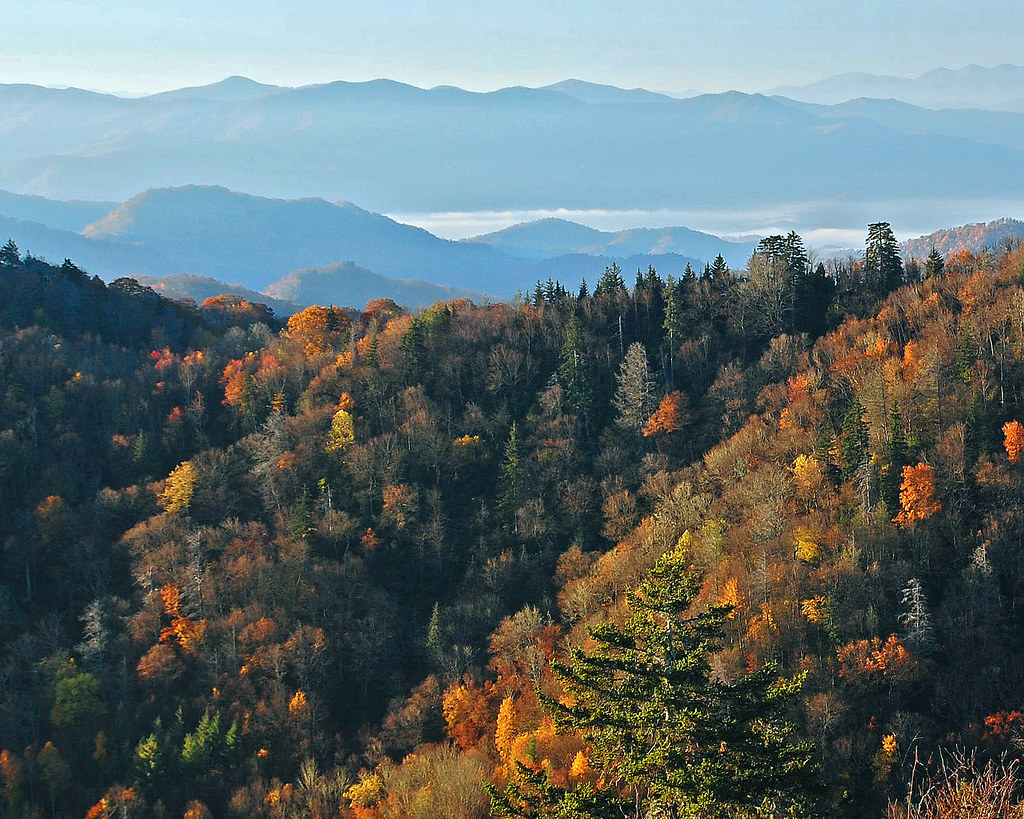 Great Smoky Mountains View from Newfound Gap Road. Flickr