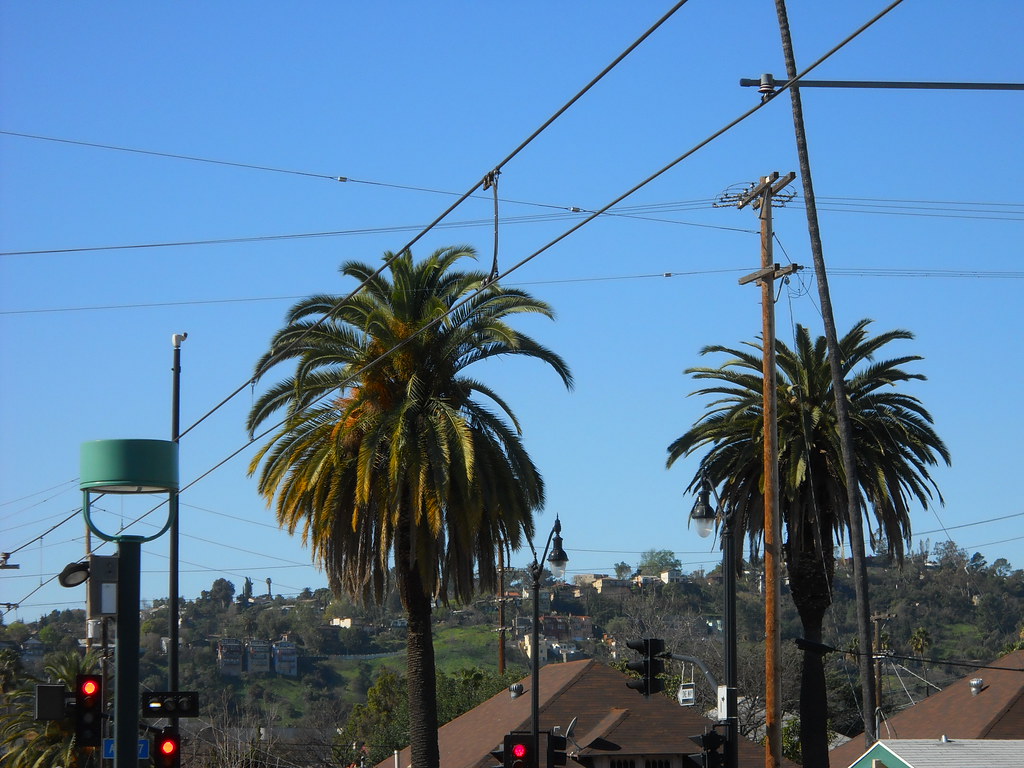 LA rattlesnake jones Flickr