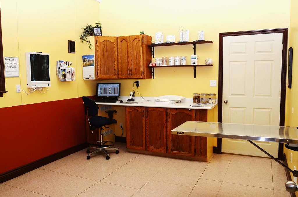large exam Campbell Road Veterinary Services Flickr