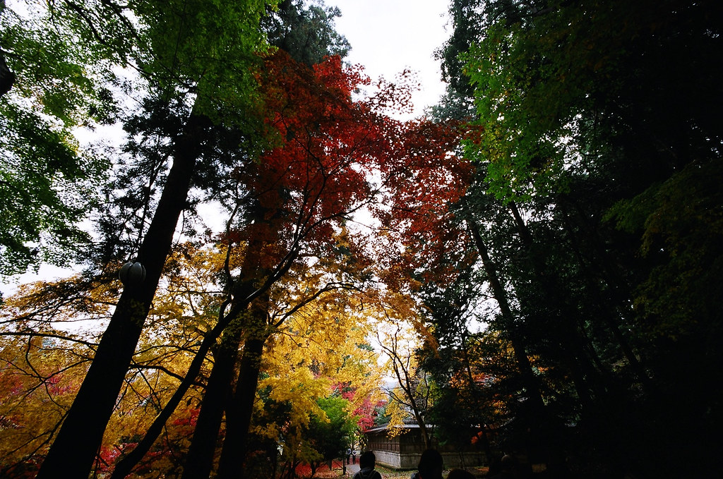 Yabu Shrine 2 hours bus trip from my hometown Yabu City, t… Flickr