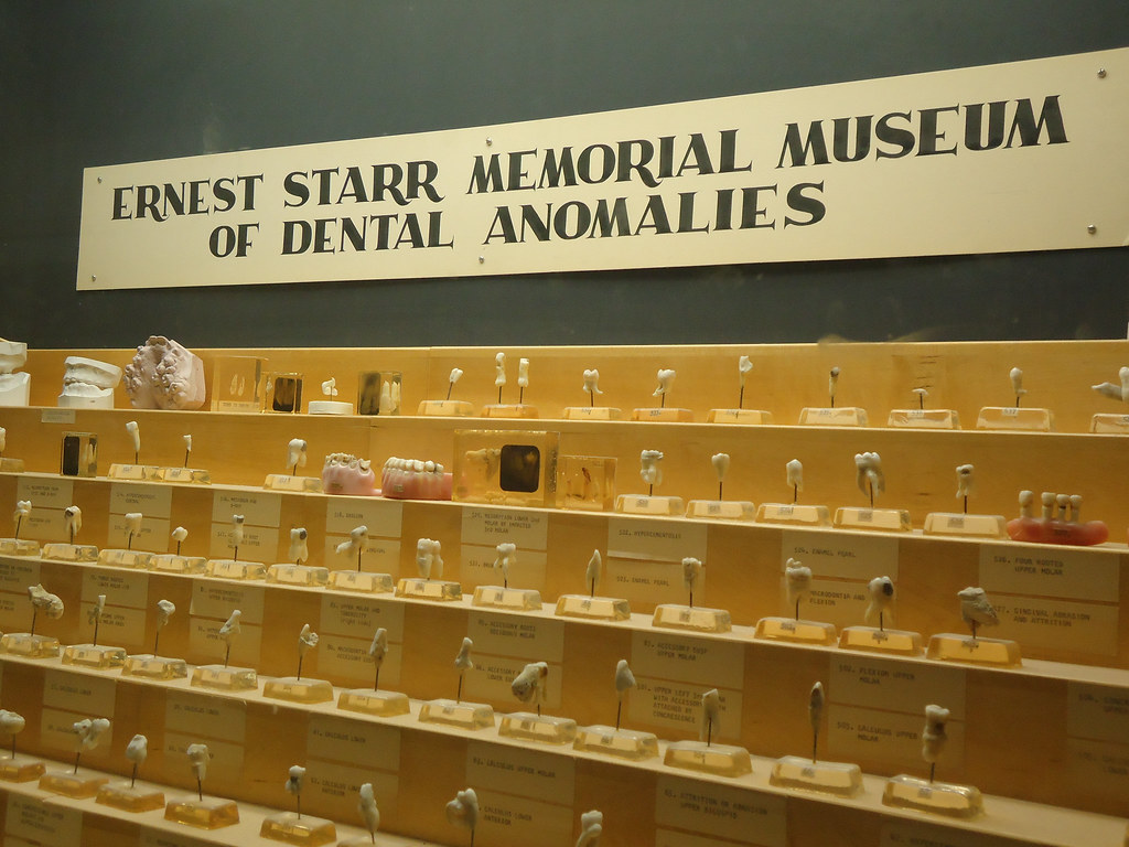 Museum of dental oddities (photo credit OHSU School of De… Flickr