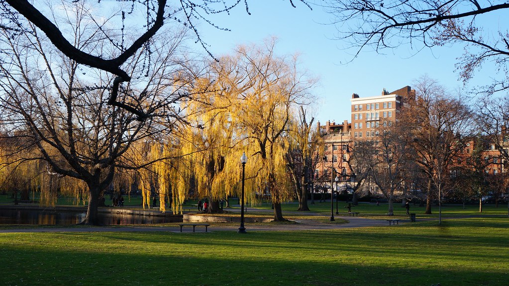 Boston Public Gardens Boston Public Gardens Flickr