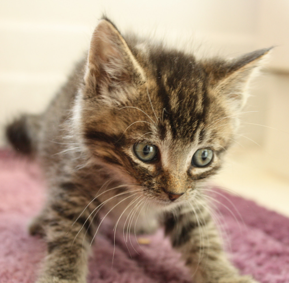 Hypotenuse Ainsworth, Indiana, December 2012 Ainsworthiana Flickr