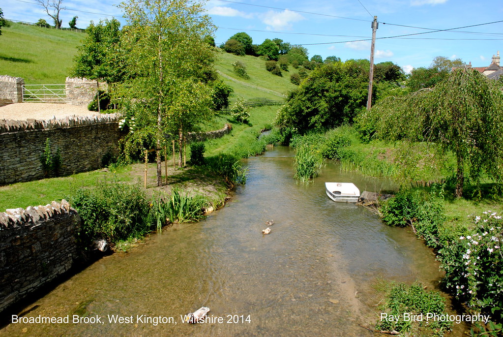 Broadmead Brook, West Kington, Wiltshire 2014 Ray Bird Flickr