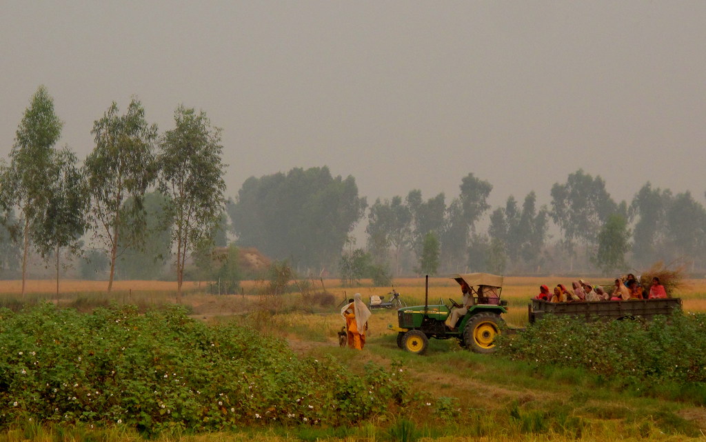Farm life Punjab, India Punjab, India Manreet Dhaliwal Flickr