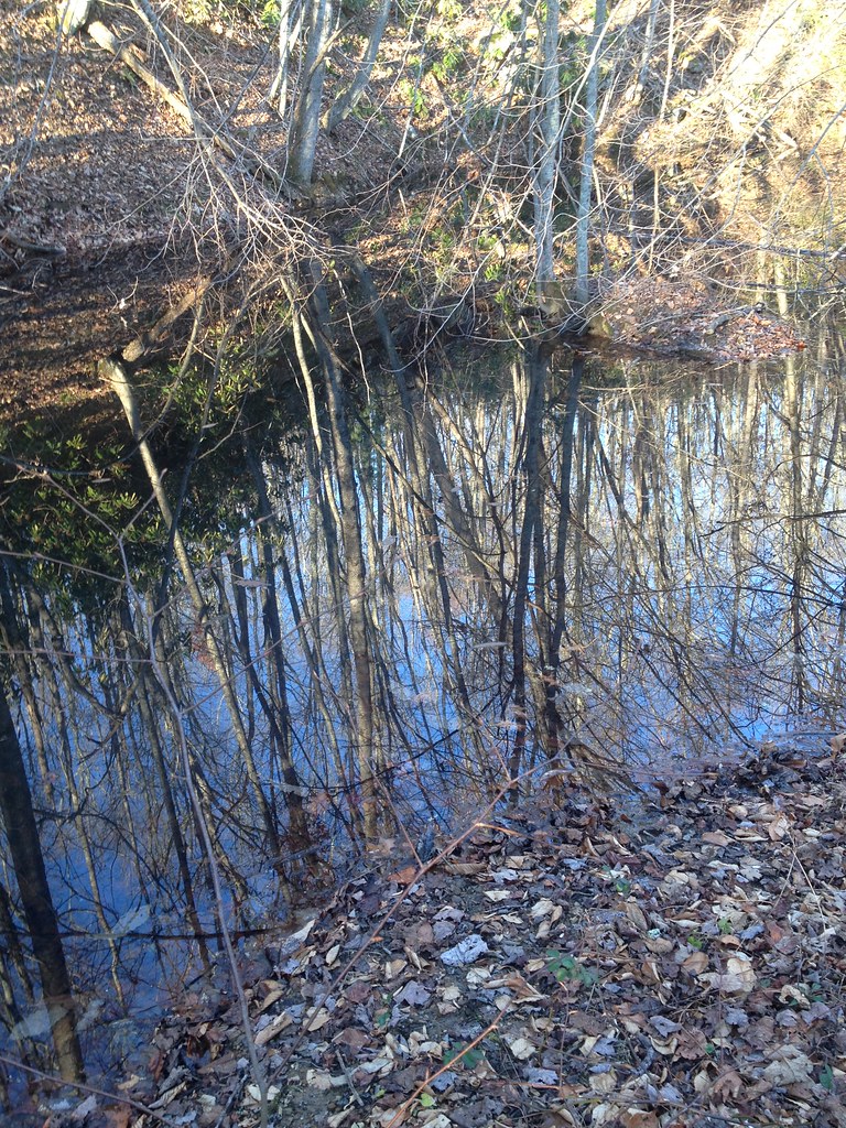 Wise Lake / Bear Creek Reservoir DM Flickr