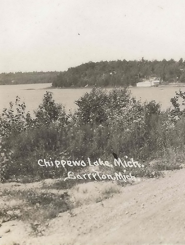 CEN Barryton MI RPPC 1950s County Road along Chippewa Rive… Flickr
