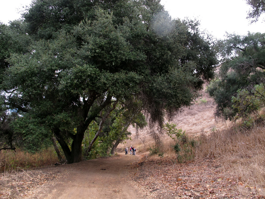 Chino Hills State Park Hike in Chino Hills State Park 2012… Flickr
