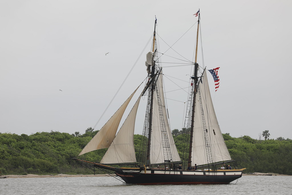 lynx_sailing_in_5Div3731 This is the Lynx, the 120 foot pr… Flickr