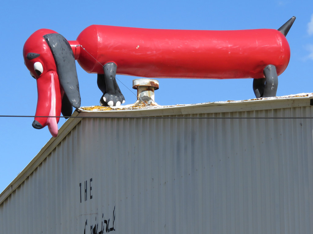 Weiner dog on the roof Ruidoso, New Mexico. jimsawthat Flickr