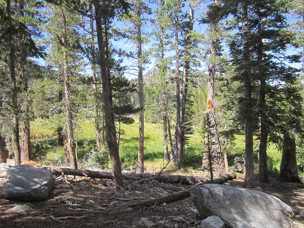 San Jacinto Wellman's Divide Hike Round Valley about midw… Flickr