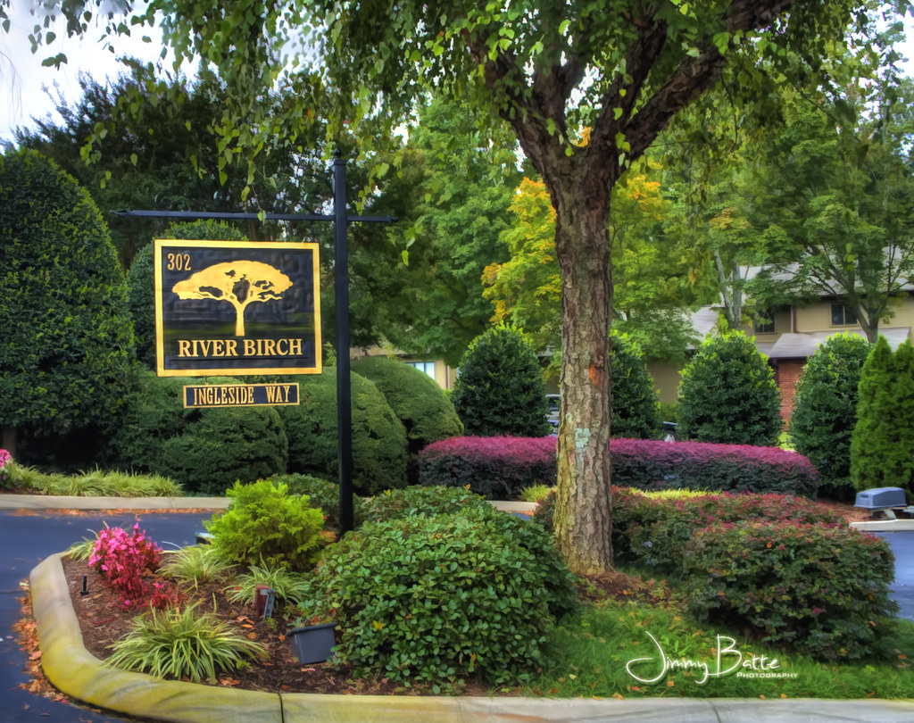 River Birch Greenville, SC This is an HDR image of the g… Flickr