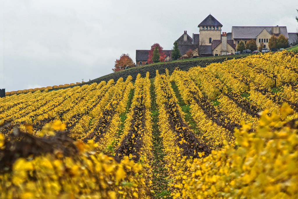 King Estate Winery SERIES Crow, Oregon drburtoni Flickr