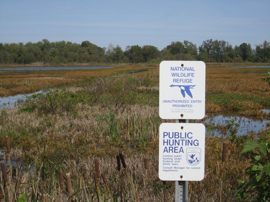 Snakey Point Marsh Patoka River National Wildlife Refuge. … Flickr
