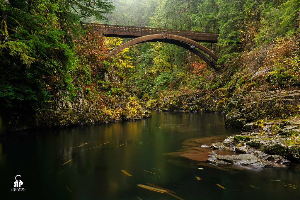Elevation of Lake Merwin Camper's Hideaway, NE Columbia Tie Rd, Amboy