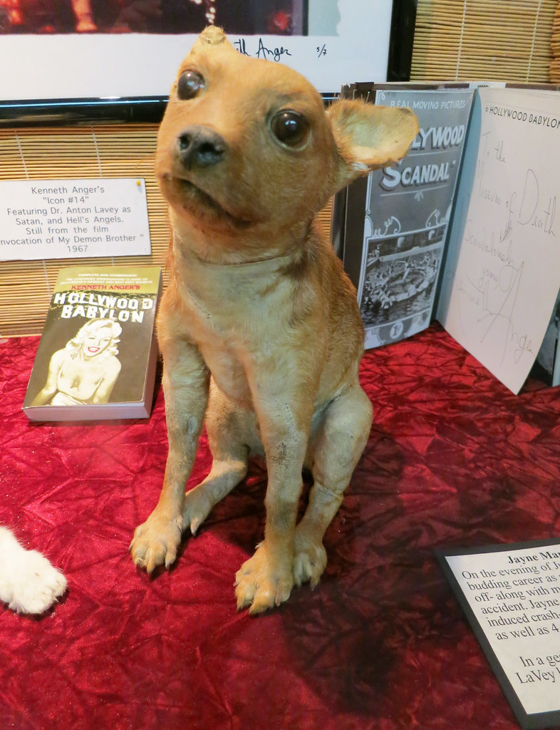 The Museum of Death in Hollywood, California Jayne Mansfie… Flickr
