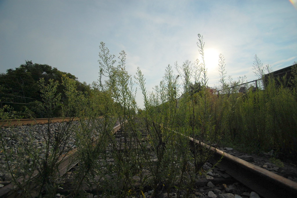 Aden Rd train bridge Matt Capriglione Flickr