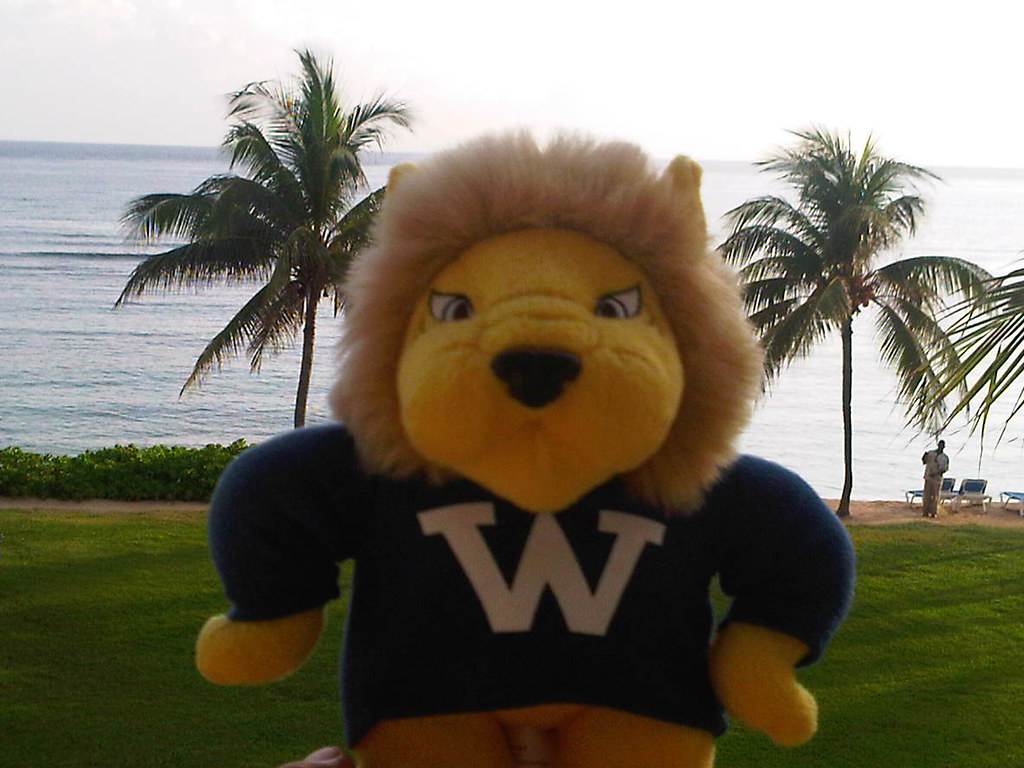 Rick Eber Gorlok in Montego Bay, Jamaica ster University Alumni