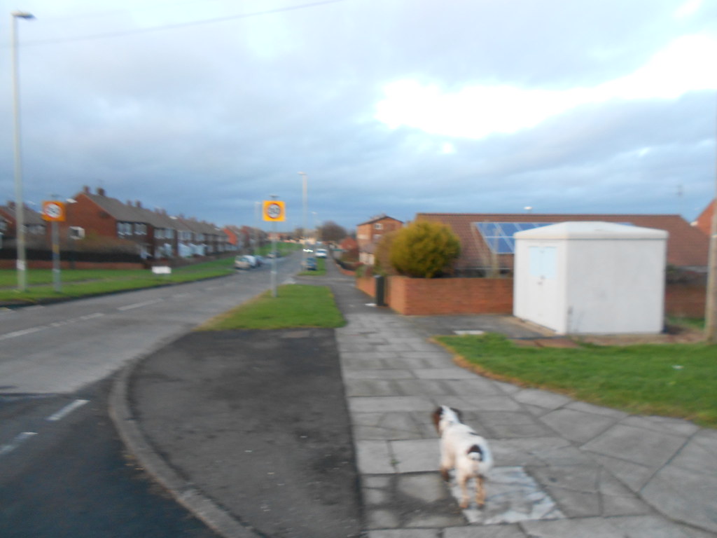 10 mile run Whiteleas Cleadon Marsden Whitburn 020 Flickr