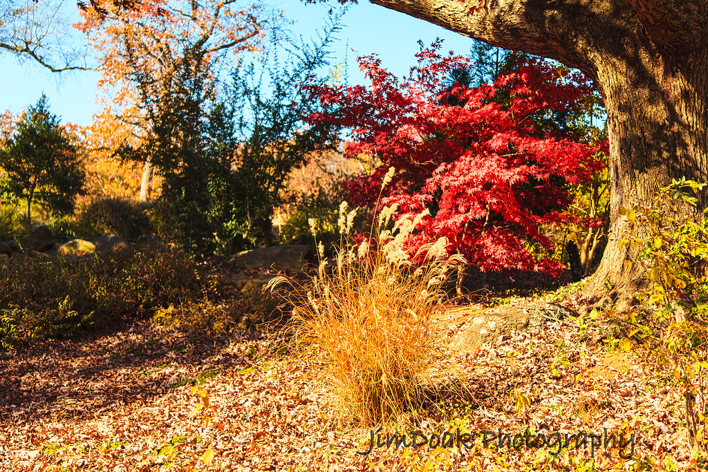 Elevation of Mount Ulla, Mt Ulla, NC, USA Topographic Map Altitude Map