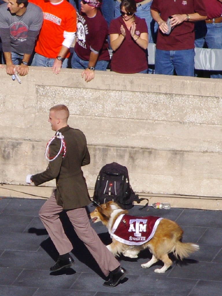 Reveille, Texas A&M Mascot Texas A&M Mascot and First Lady… Flickr