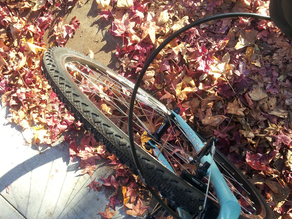 nov 23 2012 ride, palo alto 20121123_151414 Nancy Ewing / nancyo