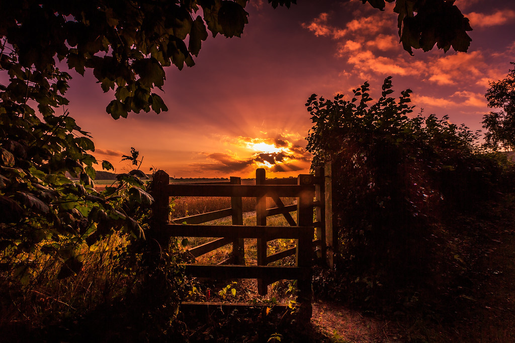 Enter through the narrow gate. Jackie Lawrence Flickr